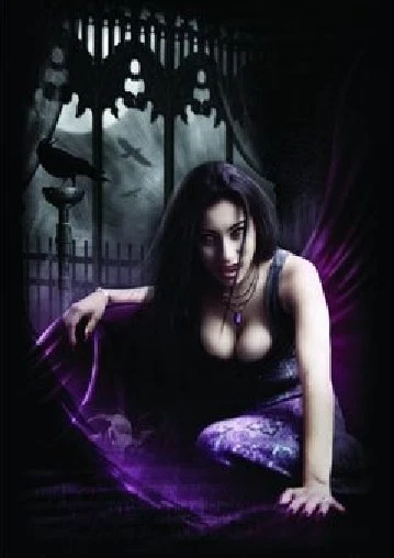 Jigsaw Puzzle with Bite - Various Designs - 1000 Pieces New & Original Packaging - Image 4 of 4