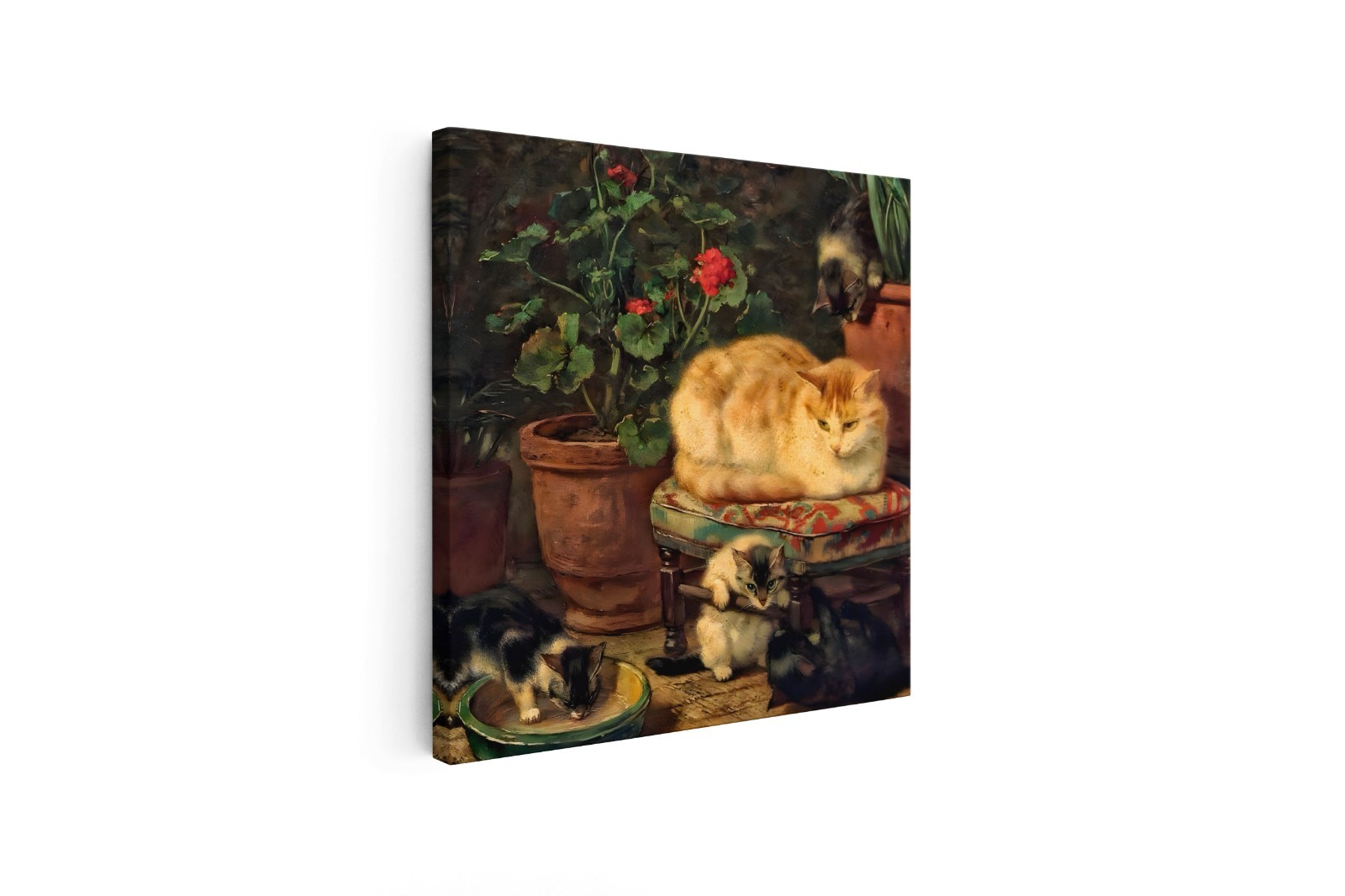 Henriette Ronner-Knip/The Cat at Play,1888,Vintage/Canvas Wall Art ...