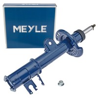 Meyle 2267230002 StoßDäMpfer FüR Fiat 500X 334 Jeep Renegade SUV Hinten Links
