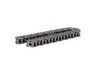 Schaeffler INA Kette ÖLpumpenantrieb 553 0222 10 FüR BMW 5Er Turismo F07 6Er F13