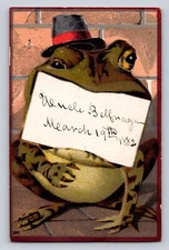 Anthropomorphic Dressed Bullfrog Wears Hat Sign Unbranded Stock  P758