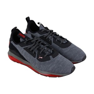 puma cell descend