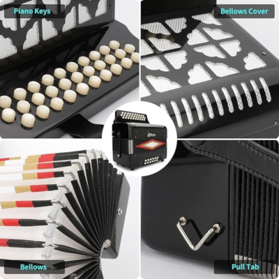 31-Key Diatonic Accordion, 12 Bass with Case & Straps for Adults