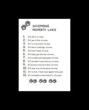 Schipperke - CUSTOM MATTED - Dog Art Print - P/L