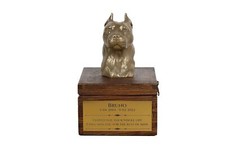 American Staffordshire Terrier, Amstaff III - urn for dog ashes with a statuette
