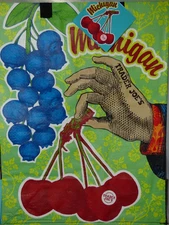 Trader Joe's  Michigan Reusable Shopping Grocery Bag - 6Gal