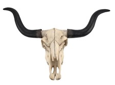 Huge Longhorn Cow Skull 27in Wide Resin Long Horn Steer Wall Hanging Decor