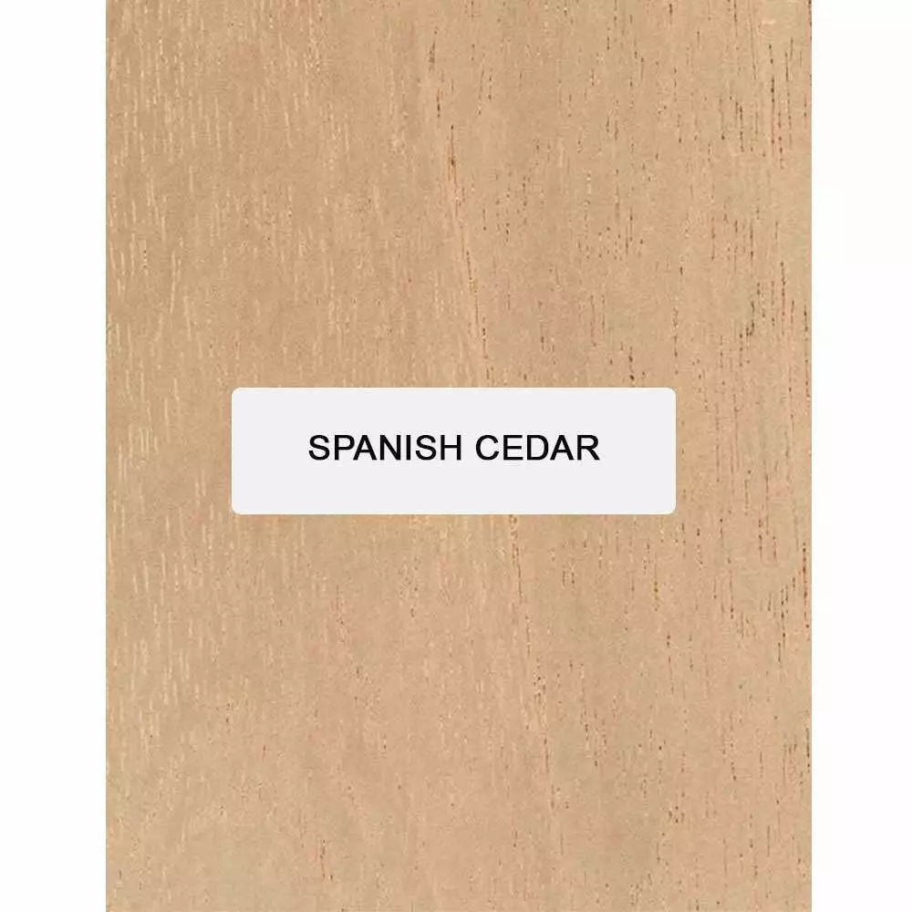 Spanish cedar sale guitar