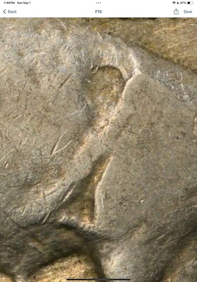 1935 Buffalo Nickel Stunning Details PCGS F15 - Image 4 of 4