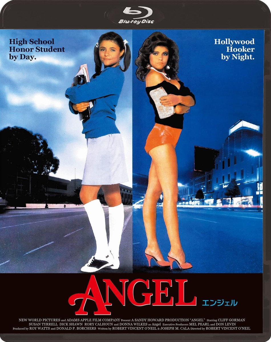 ドラマ　Fallen Angel DVD-BOX　北村匠海　加藤和樹　千葉雄大 ドラマ Fallen Angel DVD-BOX 北村匠海 加藤和樹 千葉雄大