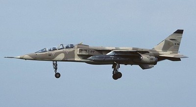 Sepecat Jaguar-E Trainer Desk Kiln Dry Wood Airplane New Model Large Scale 1/48