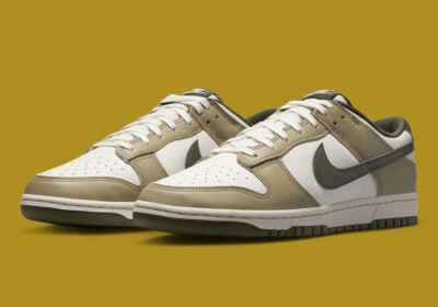 Nike Dunk Low Retro Men's Green Neutral Olive Sports Sneaker IH0244-276