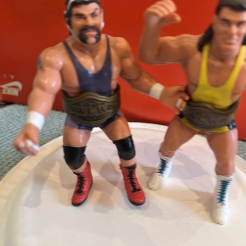 1990 GALOOB WCW Scott & Rick Steiner Action figure...