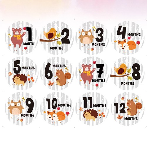 12PCS Stickers Baby First Year Stickers Baby Milestone Stickers | eBay UK