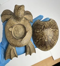 Unused Vintage Carved Wooden Turtle Ashtray - Hand Made Folk Art Removable Shell