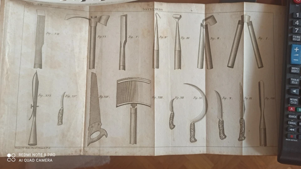 Traité de la Culture des Arbres Fruitiers W. Forsyth - 1803 - Arboriculture - Photo 3/4