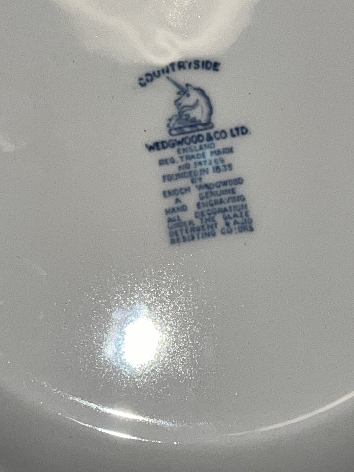 Picture 5 of 11