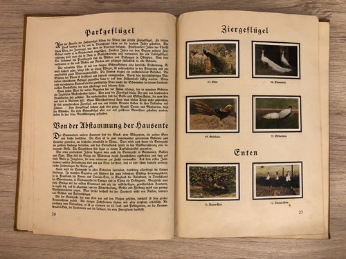 480- Album Cromos DER KLEINTIERSÜCHTER Hans Von Der Nordmark 1933 sticker album - Imagen 17 de 24