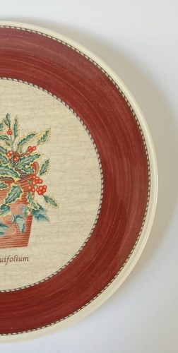 Wedgwood Sarah's Garden Cake / Gateau Plate - Ilex Aquifolium - Picture 5 of 7