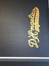D’Angelico Deluxe Atlantic Limited Edition (Sage) 1 of 50