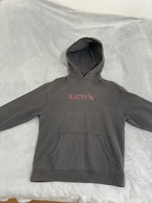 Levis Reflective Hoodie