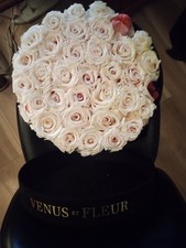 Venus et Fleur White Roses Flower Box Arrangement Large Black Container See pic