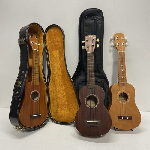 Ukulele Makala, Paradise Ukes & 1st Note