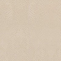 Vliestapete 751512 Tapete Tiere 53 X 1005 Cm Rasch African Queen Iii Beige