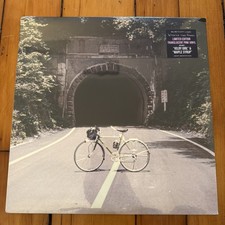 The BackSeat Lovers When We Were Friends - Translucent Pink Vinyl LP NEW Sealed