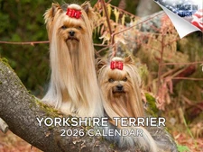 Yorkshire Terrier Dog Breed Calendar 2026 12x18 Made in USA