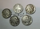 5 Buffalo Nickel Lot 1923 1900s