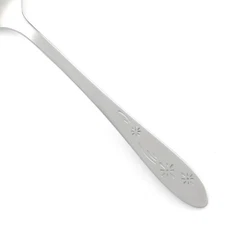 Oneida OLD WINTER Stainless Glossy WM A Rogers LTD Silverware CHOICE Flatware