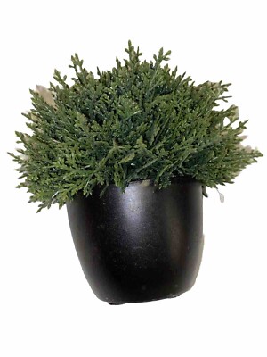 Tiny Fake Green Tree Home Decor 5x2