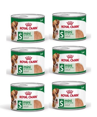 ROYAL CANIN Mini Adult Pastete für erwachsene Hunde kleiner Rassen 6x195 g