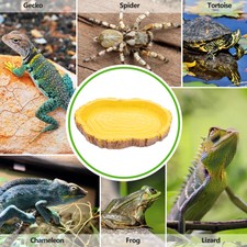 Reptile Water Terrariums Lizard Tank Tank Food Holder Pool Tortoise Accessories