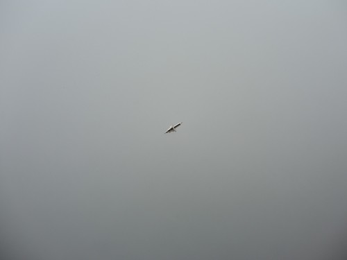 Unruhwelle für TAVANNES 15´´ cal. B 584, 585, 586, 587, balance staff, CYMA - Picture 1 of 2