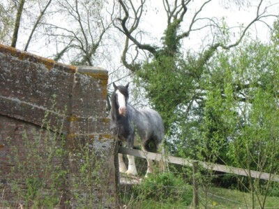 Photo 6x4 I am Watching You Broughton/SP8413 Bridge No 11 on the Aylesbu c2009