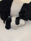 Bild 9 von 12