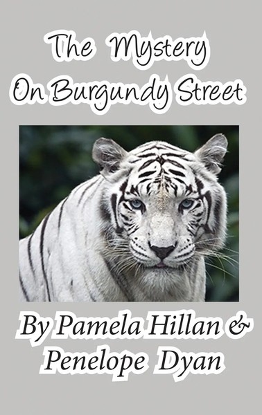 Pamela Hillan (U. A.) | The Mystery On Burgundy Street | Buch | Englisch (2015)-image