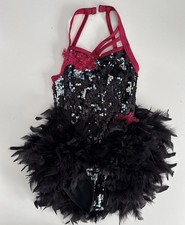 Weissman Dance Costume. Sequined Bodice With Feather Bustle. Worn Once. Small