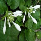 Bild 9 von 19