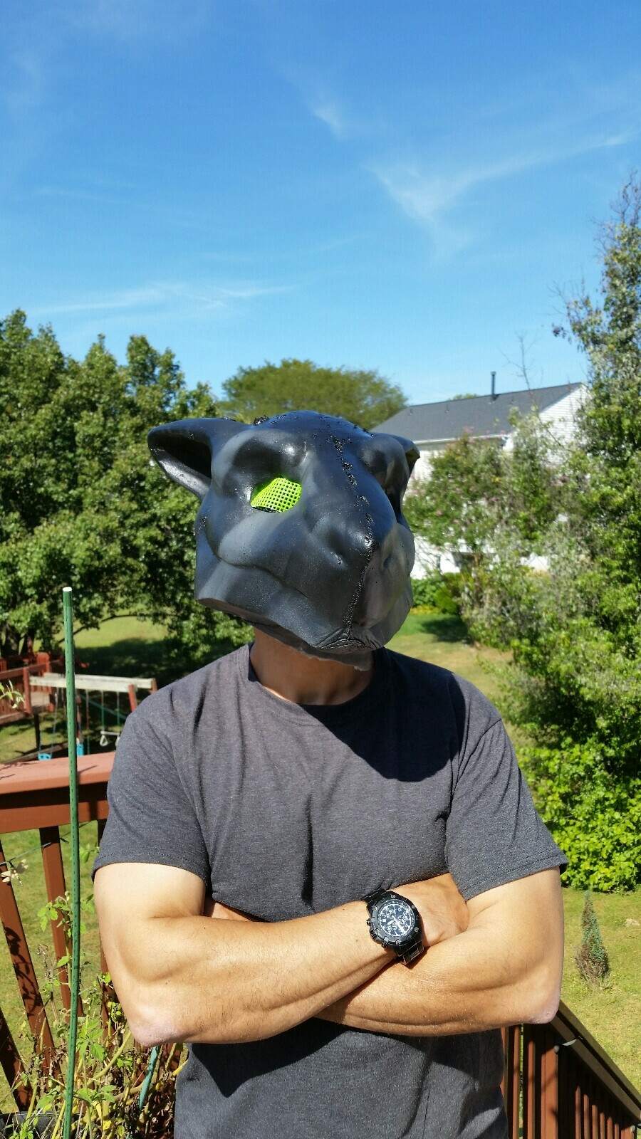 Picture 4 of 10