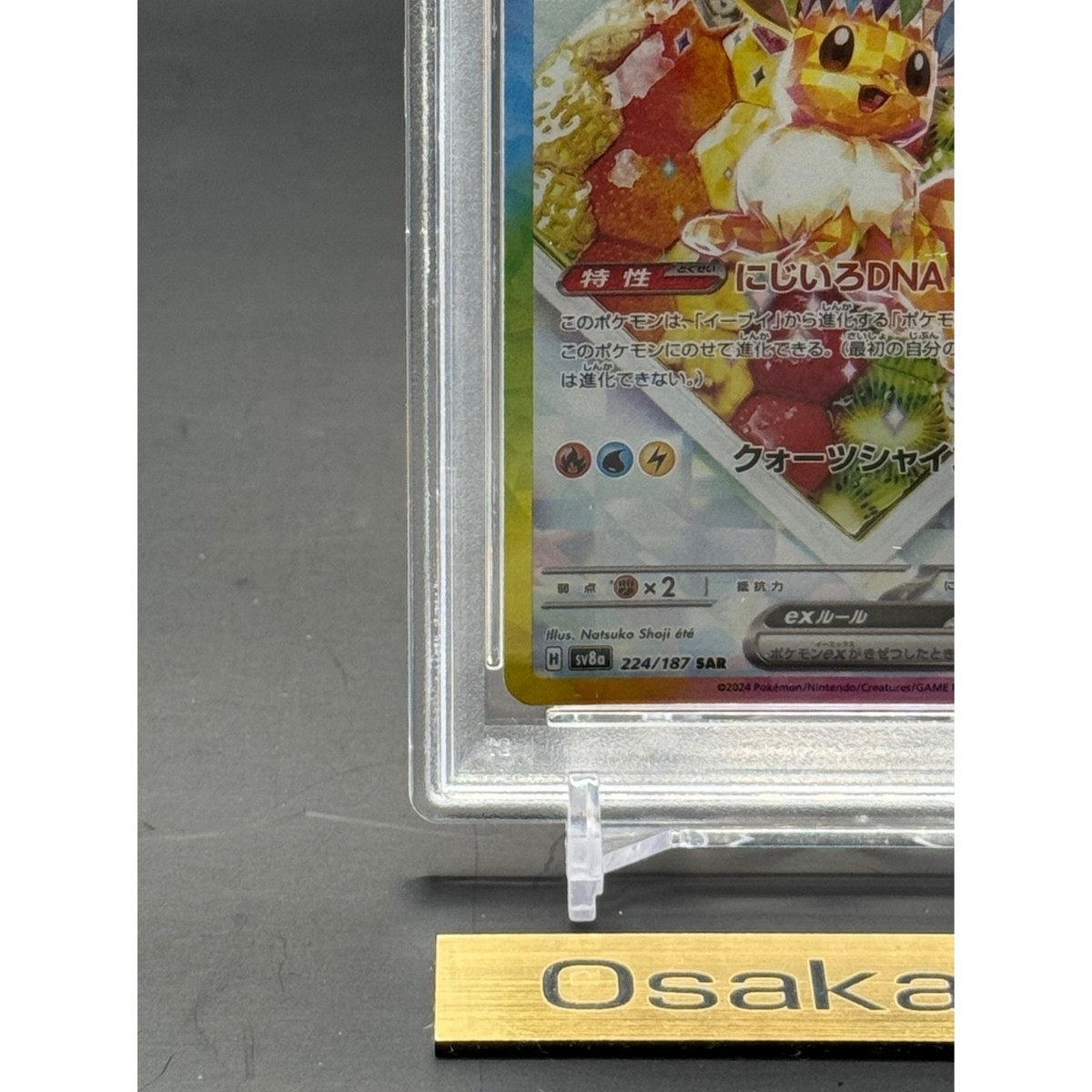 PSA 10 Eevee ex SAR 224/187 Terastal Festival sv8a 2024 Pokemon