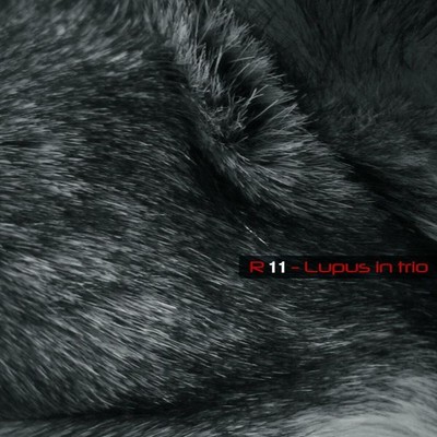 Audio Cd - R 11 - Lupus In Trio  - Lizard -D- Neu