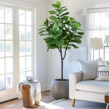 Artificial Fiddle Leaf Fig Tree 6 ft(72 in) Tall Faux Silk Ficus Trees for Ho...
