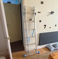 13 Step Aluminium Telescopic Ladder 3.8 m Reach 150 kg Silver/Blue Foldable