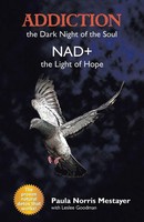 Addiction The Dark Night Of The Soul/ Nad+: The Light Of Hope Mestayer Buch 2019