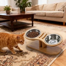 Elevated Cat Bowls 2 Stainless Steel Bowls Raised Pet Feeder