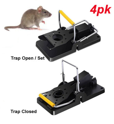 ebay mouse traps