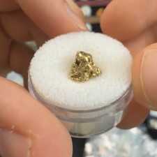 PURE GOLD NUGGET ALASKAN YUKON BC NATURAL BIG &ldquo;WET&rdquo; NUGGET  FINE 23k+ 1.67g